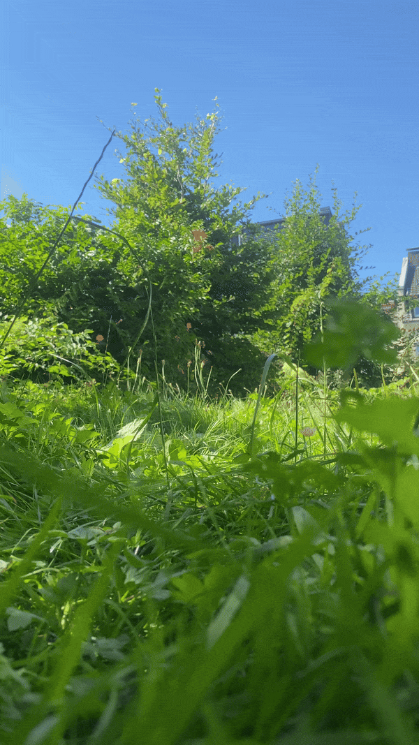 ZAKK Garden Chair - Architecture by Tizian Rein - View 2